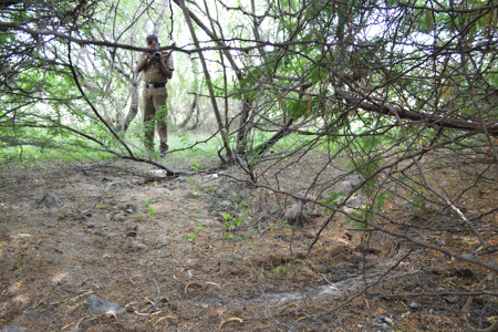 Mannar mass grave